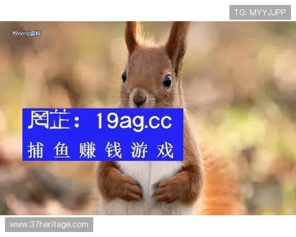 提升ag捕鱼网胜率的实用策略全面解析帮助你轻松获胜