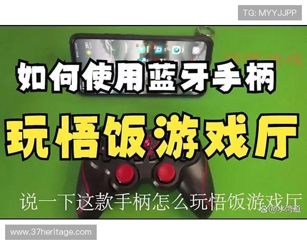 AG旗舰和国际厅:全面解析两大游戏厅的区别与优势,助你轻松选择最适合的游戏环境 AG旗舰和国际厅:全面解析两大游戏厅的区别与优势,助你轻松选择最适合的游戏环境
